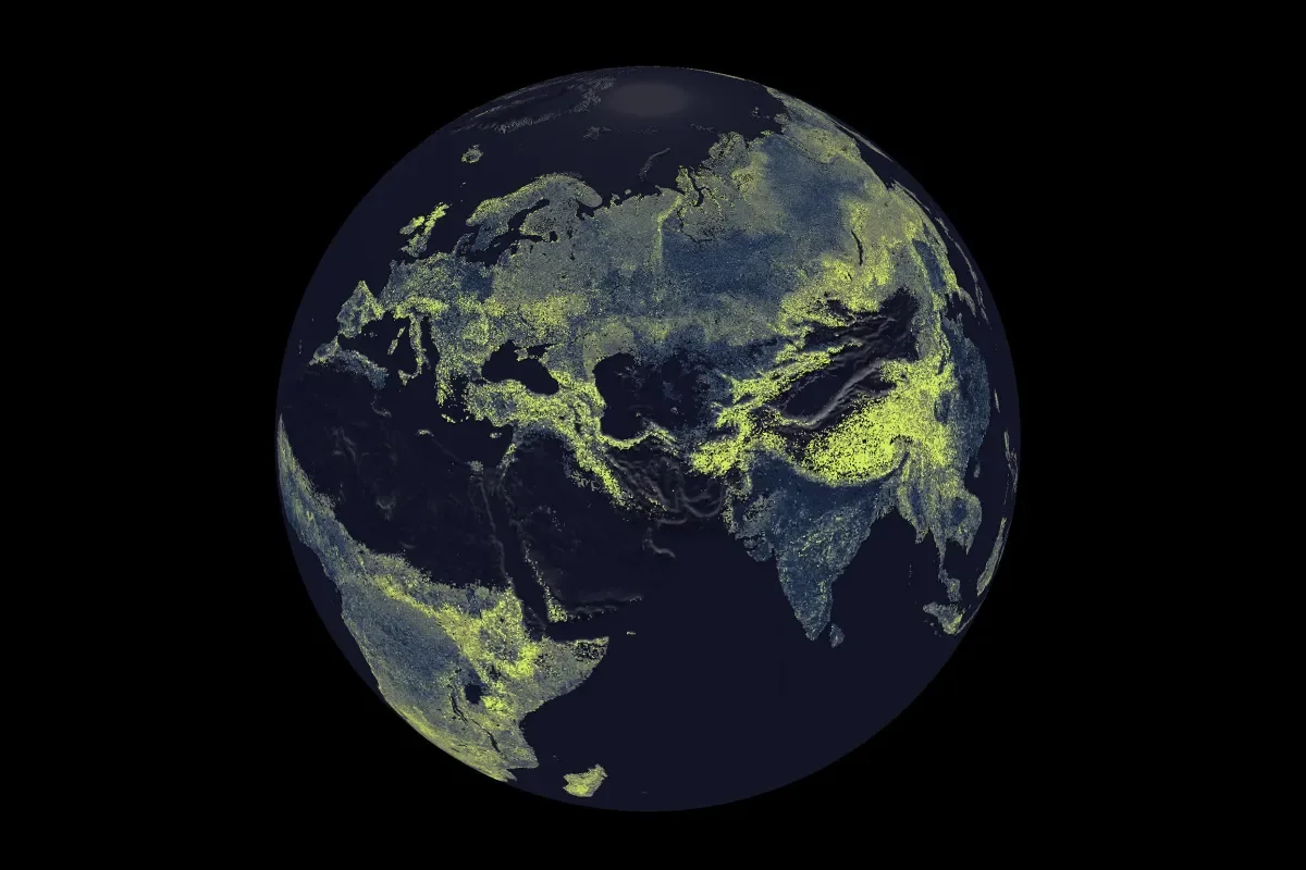 Earth’s Underground Fungal Web Could Stretch Across the Milky Way, Study Finds