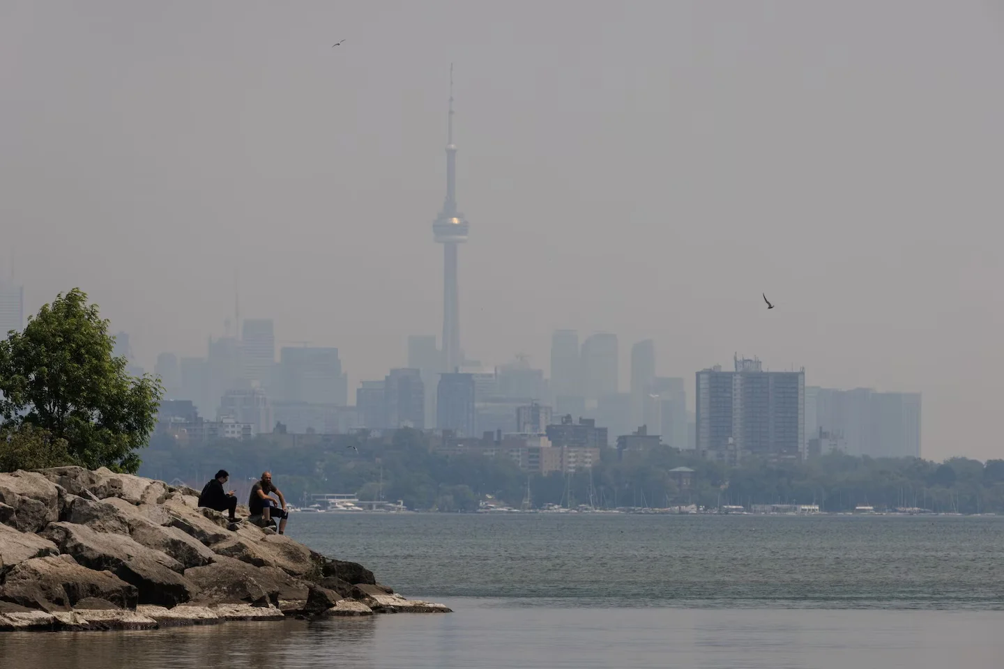 Canadian Wildfires: Progress and Challenges.