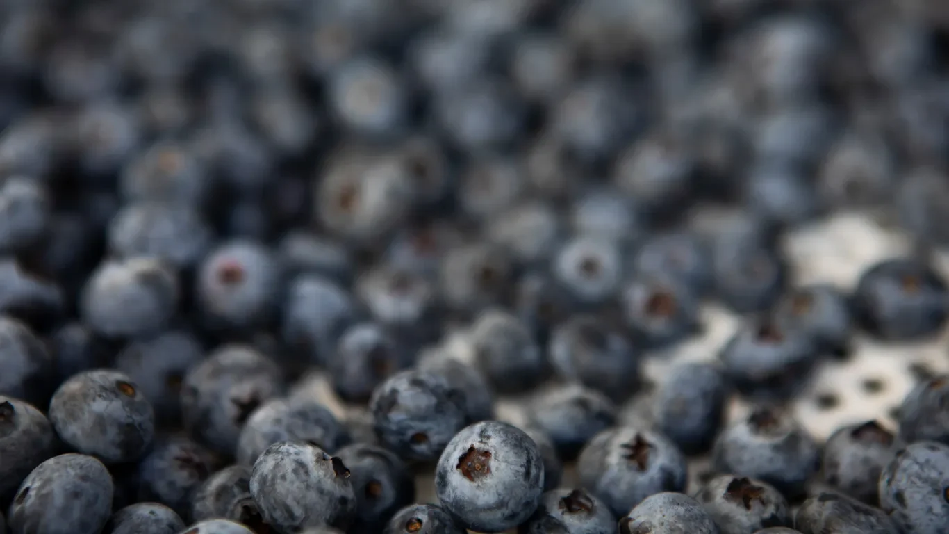 FDA flags frozen GreenWise berries as highest-risk recall amid E. coli concerns