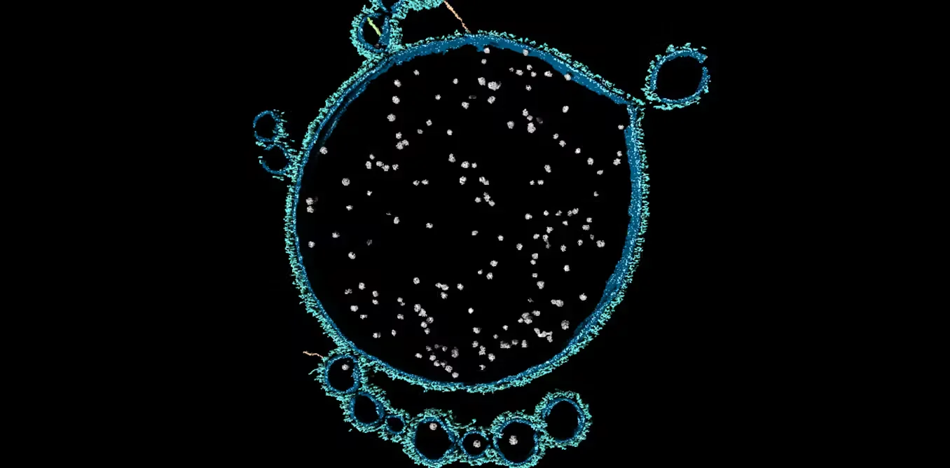 Ancient microbes reveal how complex life may have formed on Earth