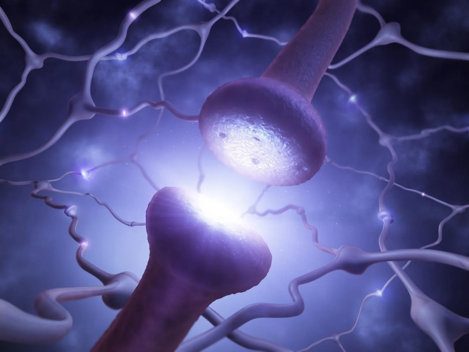Axons Revealed as Pearl-String Cables, Upending Century-Old Neuroscience