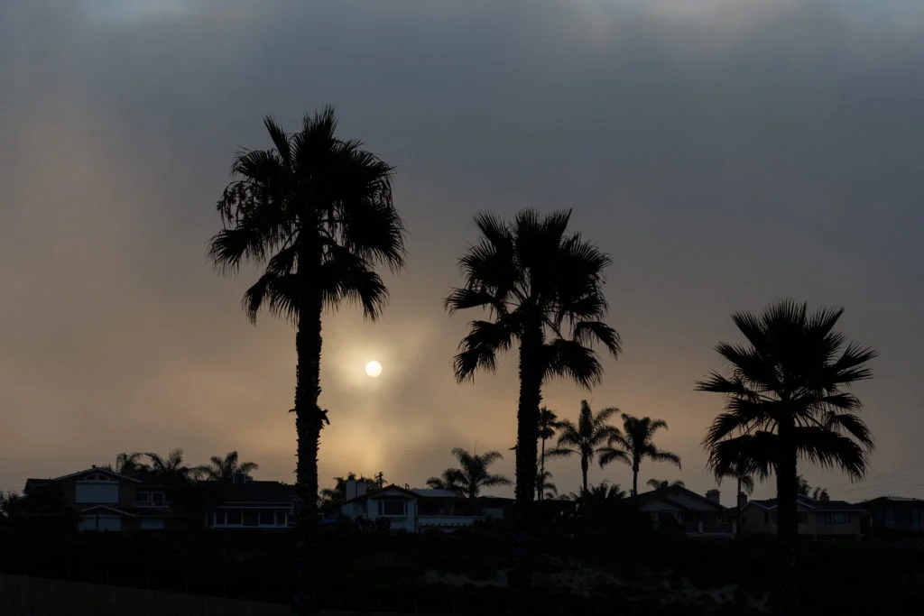 U.S. Posts Record-Breaking March Heat as Strong El Niño Looms