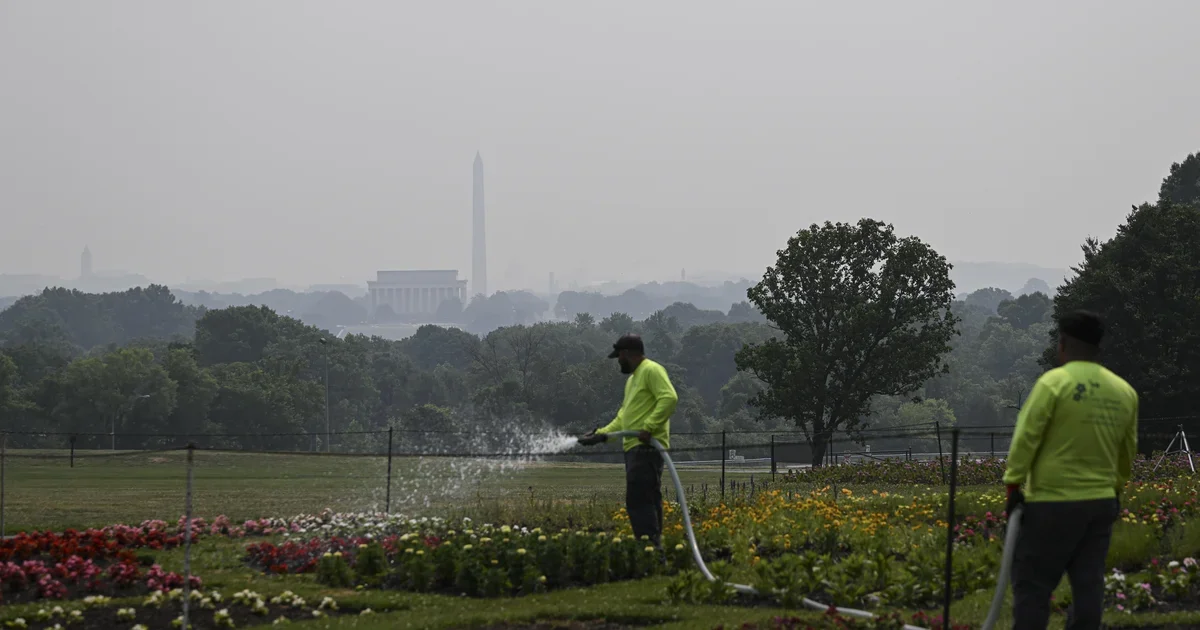 The Costly Impact of Wildfire Smoke on Health and Economy.