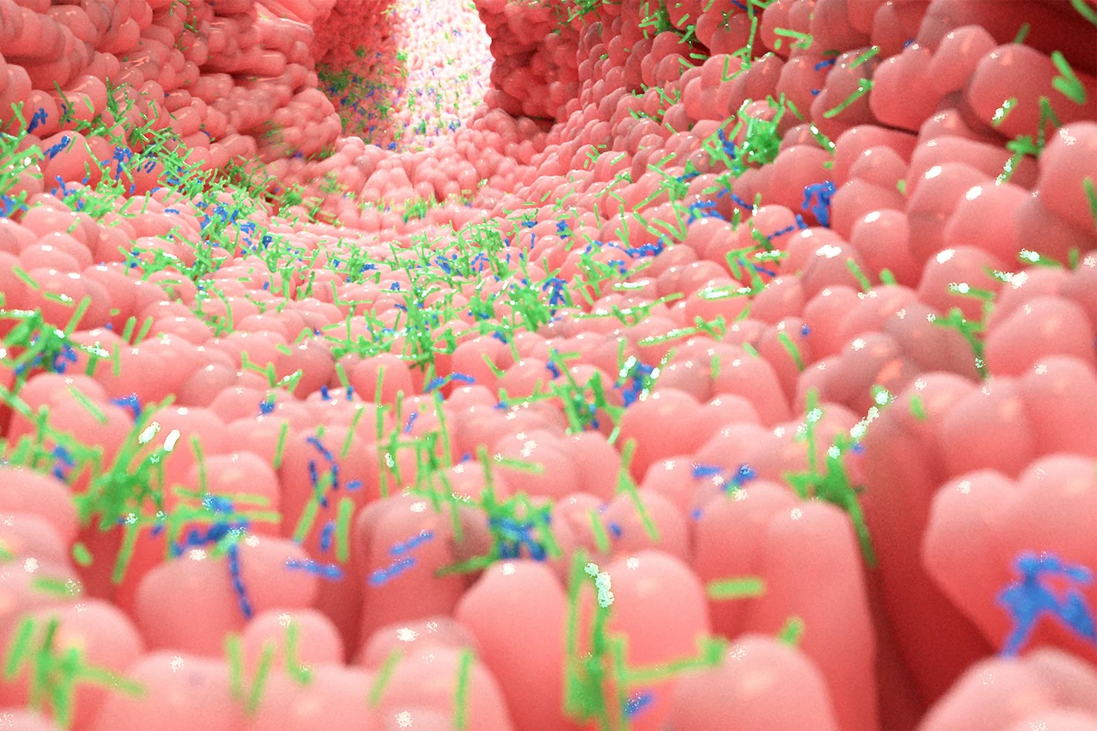 Gut Exosomes: Tiny Messengers Shaping Aging Across the Body