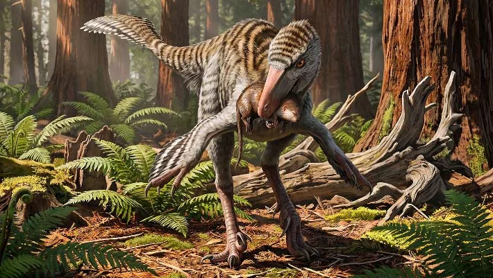 New Troodontid Dinevenator Robustus Rewrites NM Dinosaur Record