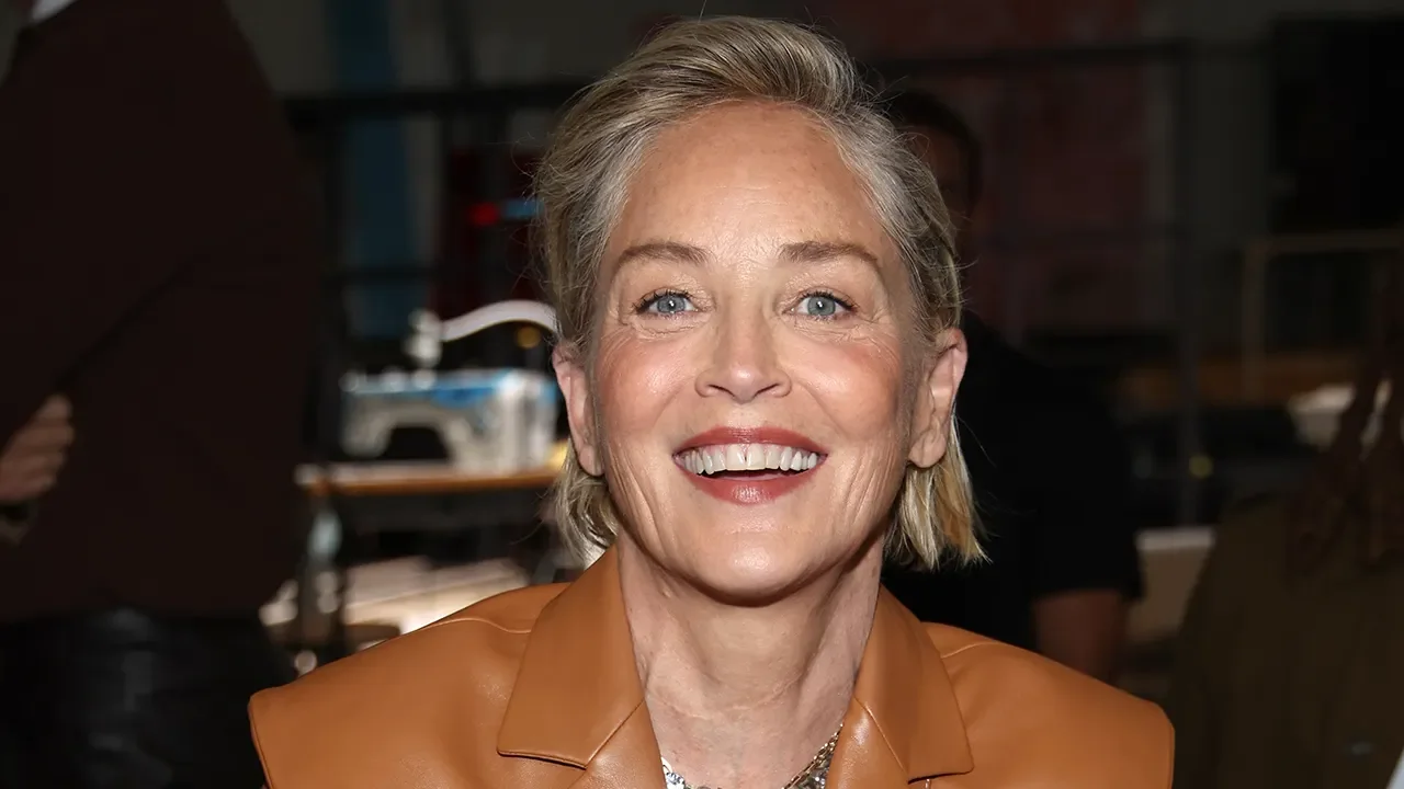 Sharon Stone's Struggle with Health Issues: From Near-Death to Unemployment