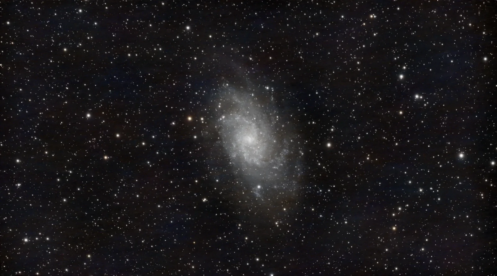 Dark Matter’s Hidden Particle Puzzle: Gravity Speaks, Detectors Silence