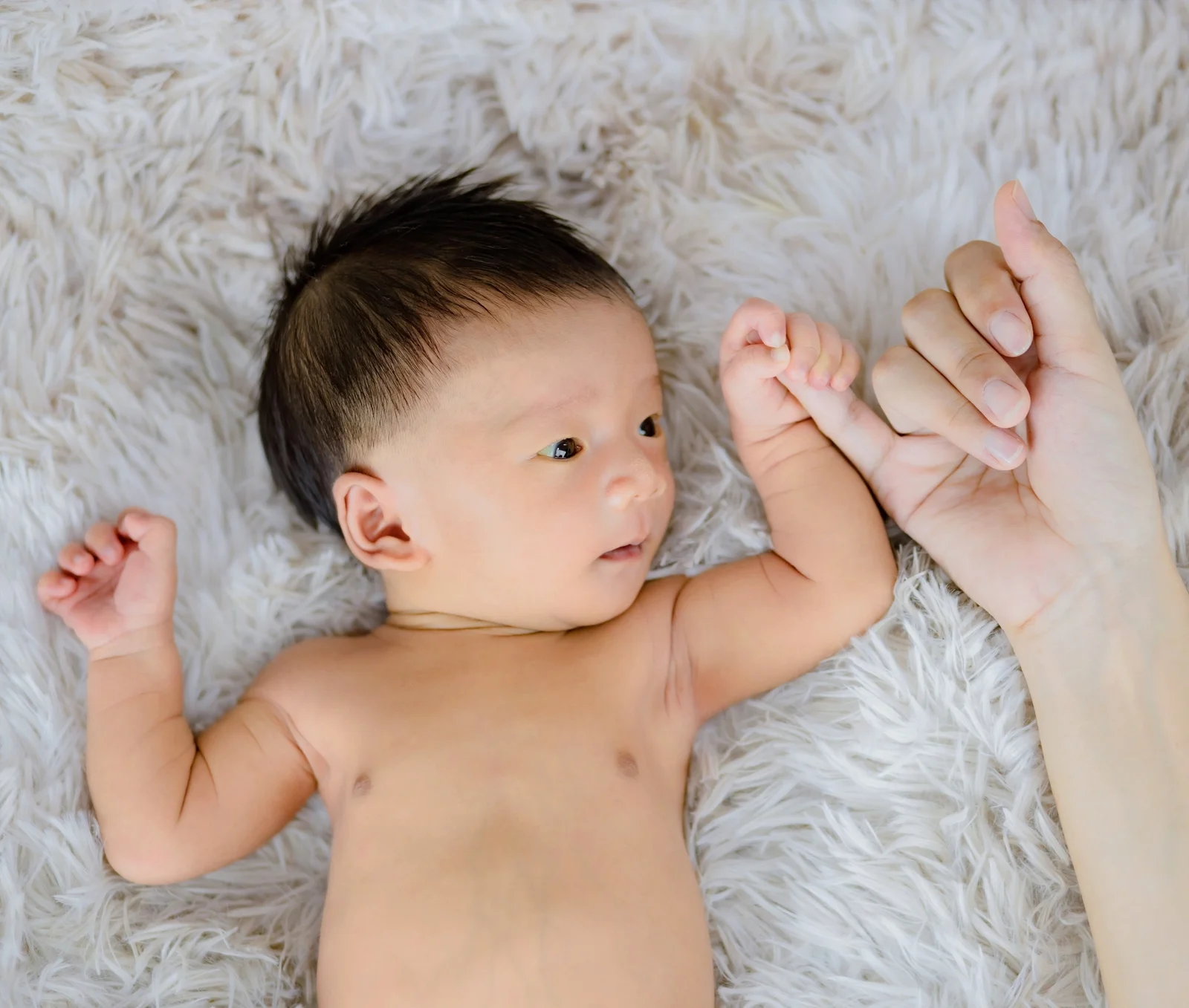Touch That Endures: How Gentle Contact Shapes Memory and Bonds Over a Lifetime