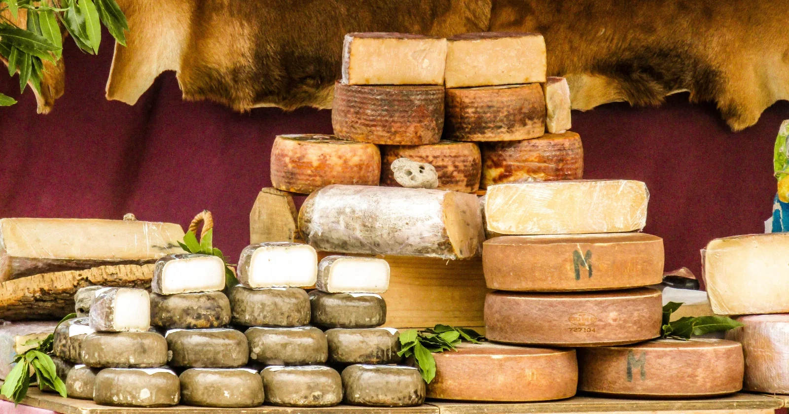 Casu Marzu: Sardinia’s Maggot-Infused Cheese at Europe’s Regulatory Crossroads