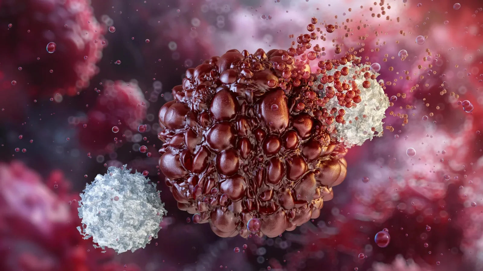 Engineered immune progenitors offer endless supply of cancer-fighting cells