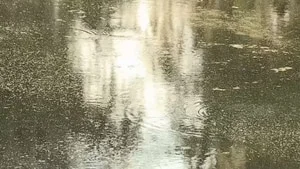 Misidentified Man Drowns Fleeing Deputies Serving Warrant