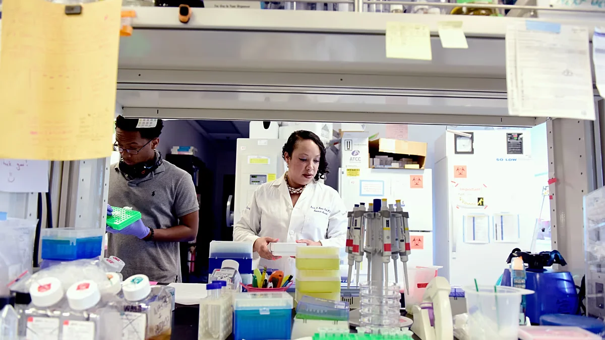 Wastewater detects all major cancer-causing viruses, signaling new public health monitoring