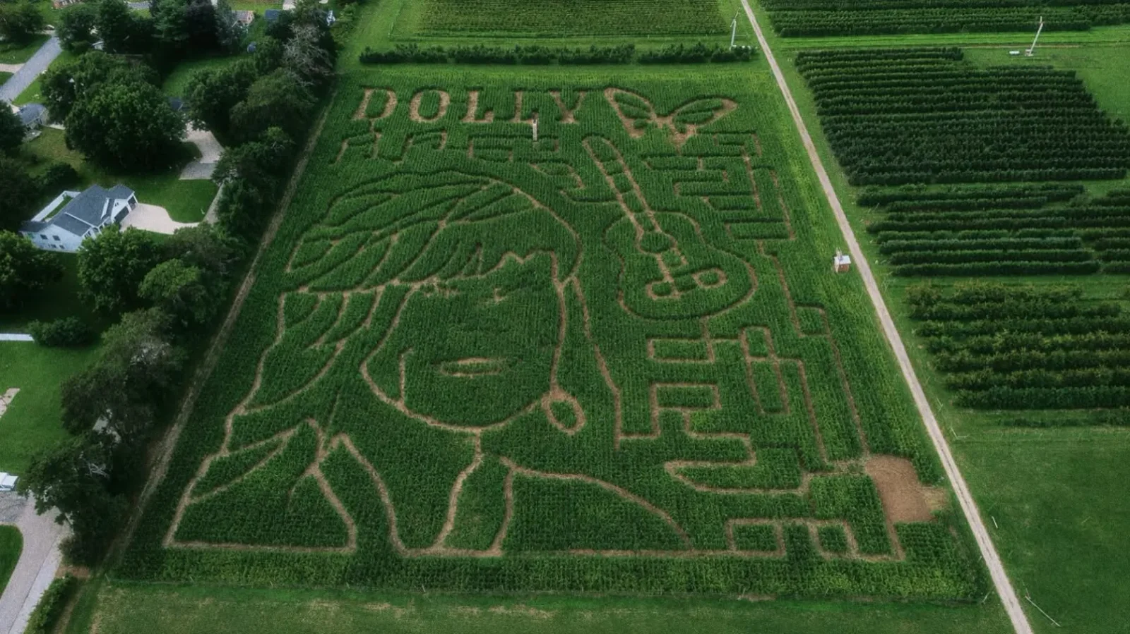 Michigan farm unveils Dolly Parton-inspired corn maze to benefit Imagination Library
