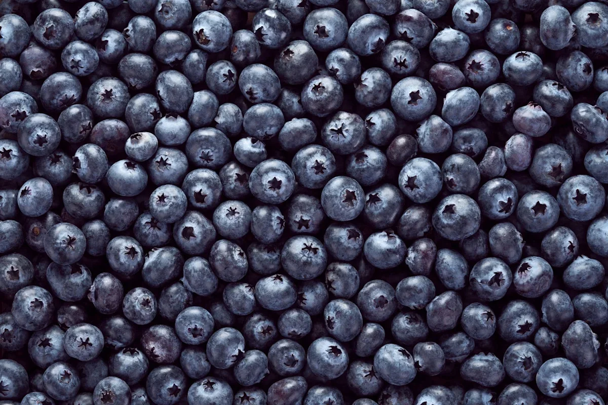 Eight-State Recall: Frozen GreenWise Blueberries Tied to E. coli Cases