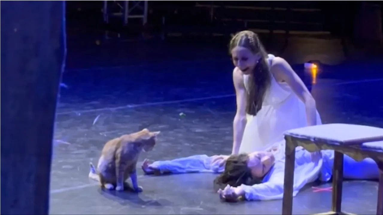 Orange Cat Steals the Spotlight in Romeo and Juliet Ballet Finale