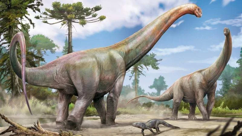 Discovery of 20-meter Brazilian sauropod hints at an ancient Europe-to-South America highway