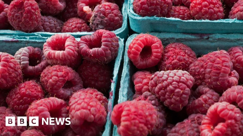 Mystery Cyclospora Outbreak Baffles U.S. Health Officials