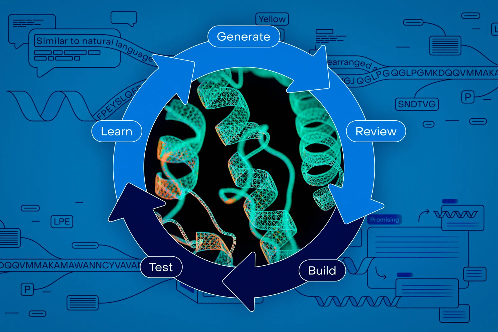 No‑Code AI Turns Biologists into Protein Designers