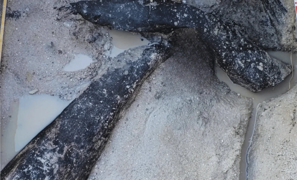 Ancient Woodworking Redefines Prehistoric Tech: 476,000-Year-Old Wood Structure Found