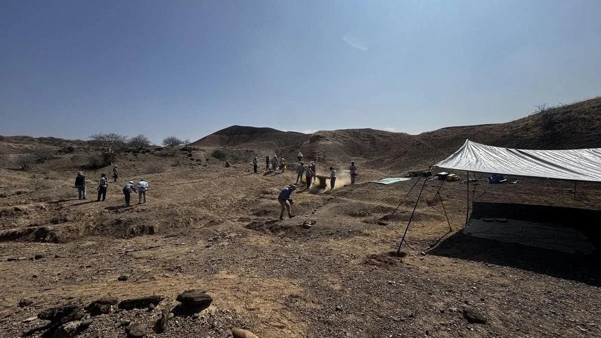 Ancient Ethiopian bones hint at oldest known human cremation