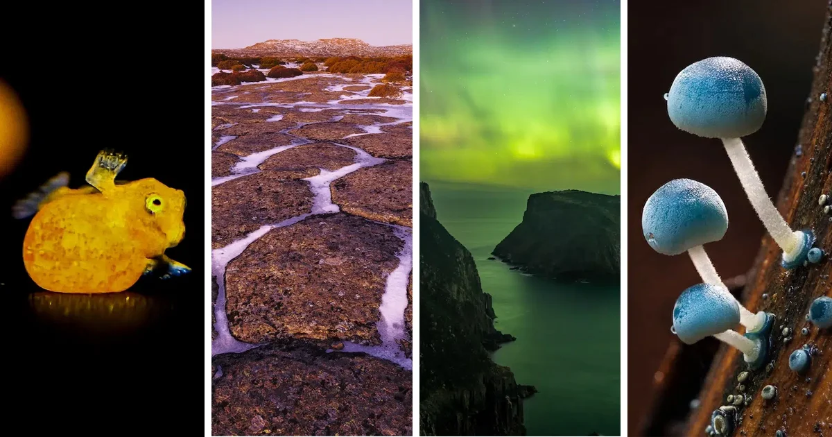 Tasmania’s Night and Tide: Meet the 2026 Beaker Street Science Photography Finalists