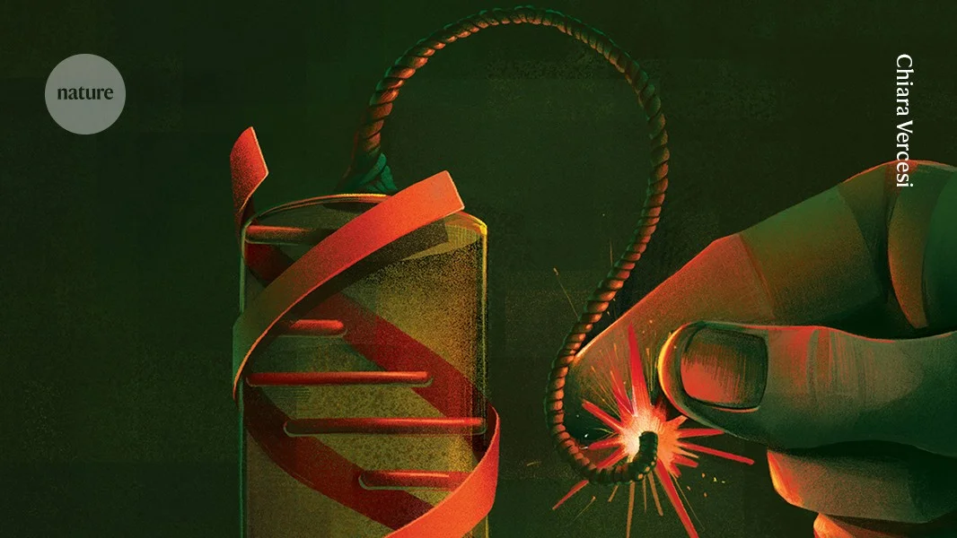 The genome’s safety net: buffering mutations with HSP90 and partners