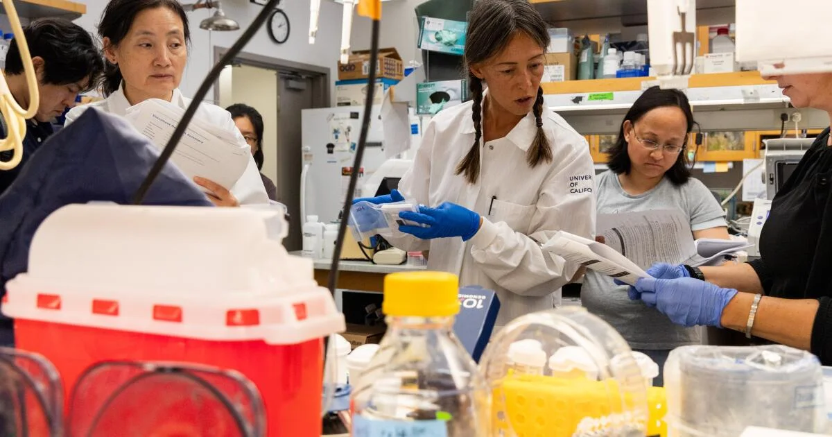 Judge Orders Trump to Unfreeze $500M in UCLA Medical Grants