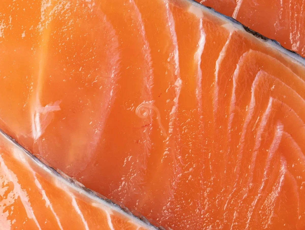 Ancient Salmon Cans Hint at Ocean Health