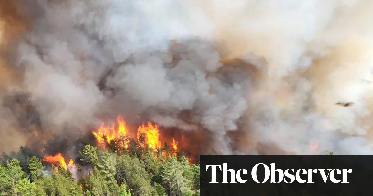 Canadian Wildfires: Experts Warn of Unprecedented Start and Climate Impact.