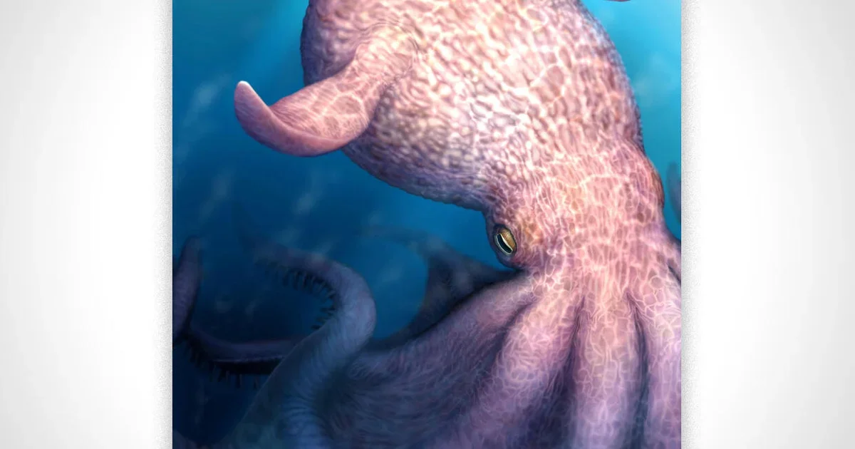 Ancient Kraken: Fossil jaws reveal 60-foot octopuses ruled the dinosaur seas