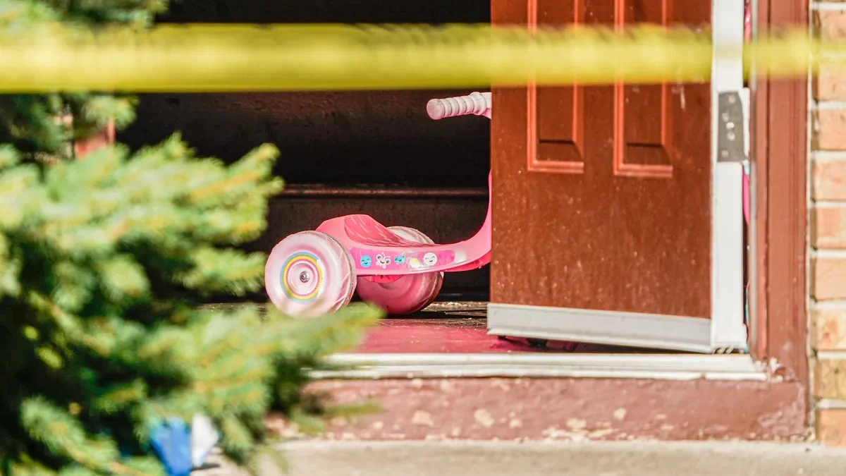 Tragic Child Shootings: Siblings and Accidental Deaths