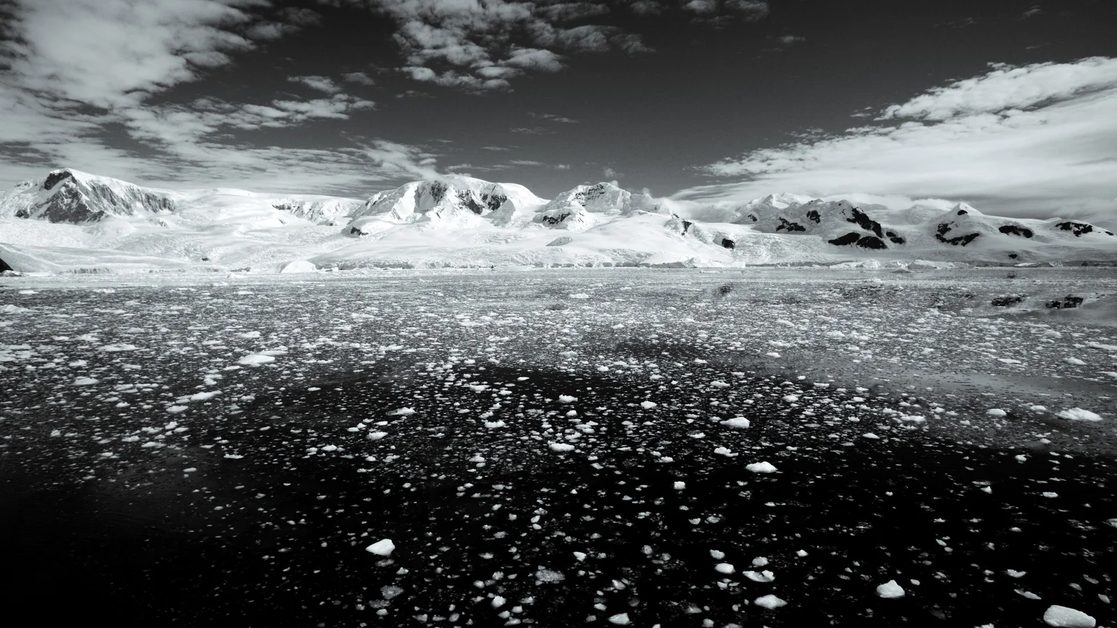 Antarctica’s Texas-sized ice gap signals a warming ocean