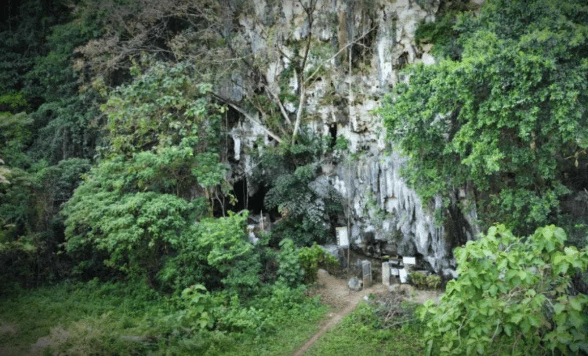 Sulawesi’s 200,000-Year-Old Hominins Coexisted with Early Humans, Study Reveals