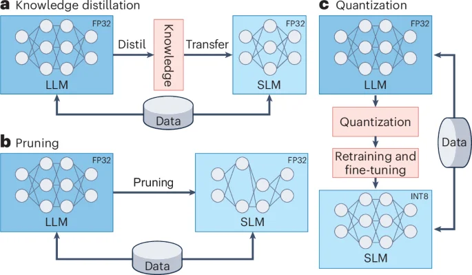 Compact language models push medicine toward scalable AI