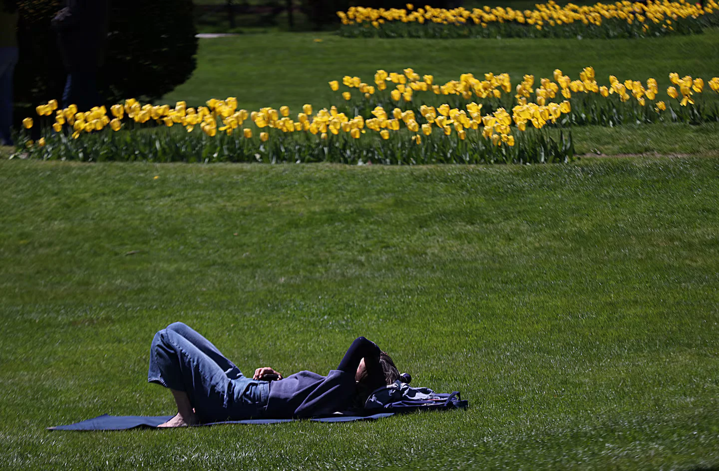 Cool spring delays pollen release, but New England allergy season stays high into summer