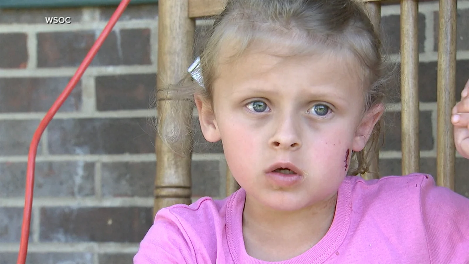 Manhunt underway after 6-year-old and parents shot over basketball in North Carolina yard