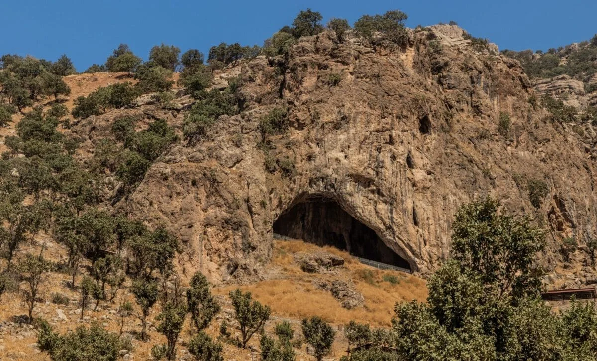 Neanderthal Infant Amud 7 Reveals Rapid Early Growth
