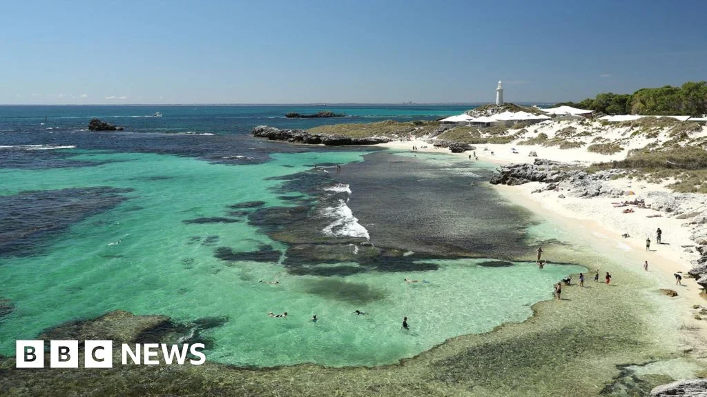 Fatal Great White Attack Near Rottnest Island, WA