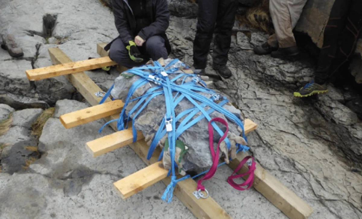 Dog-Sized Middle Jurassic Dinosaur Unearthed in Scotland, Hinting at Early Plant-Eater Diversity