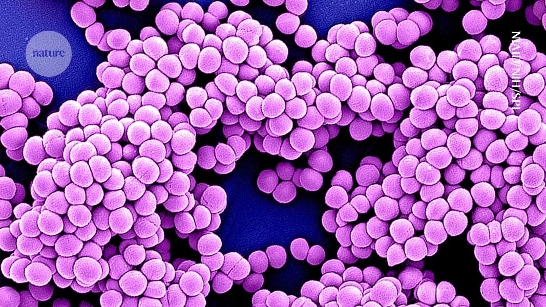AI accelerates the hunt for new antibiotics against resistance