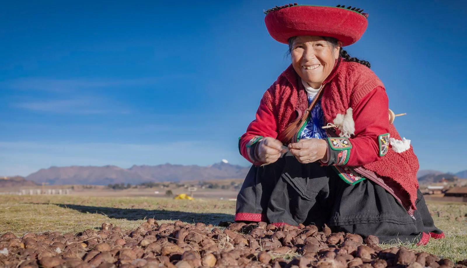 Indigenous Andeans evolved more saliva amylase genes to digest potato starch