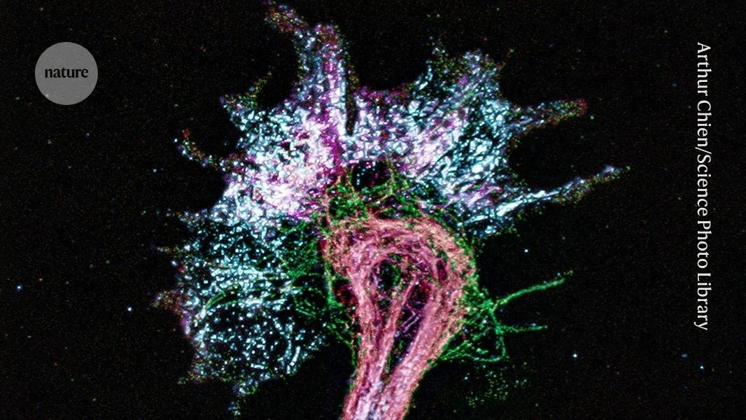 Big Expansion Enables Simple Microscopes to See Amino Acids in Proteins
