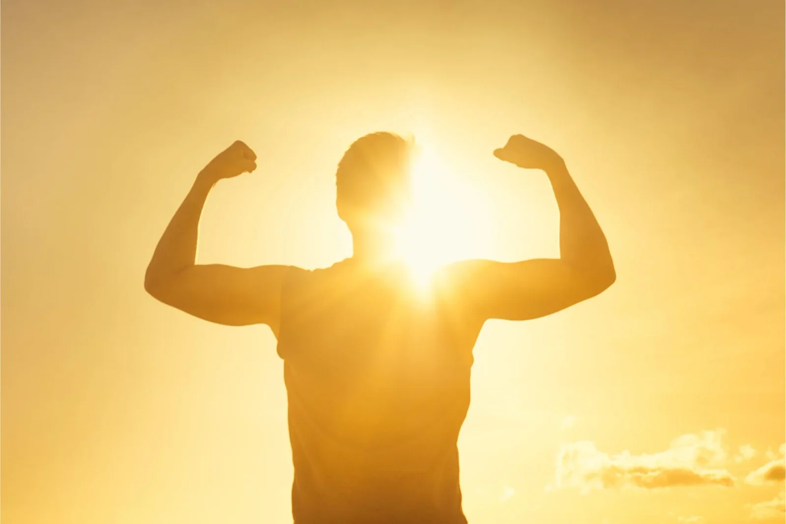 Gut Bacterium May Help Preserve Muscle Strength With Age