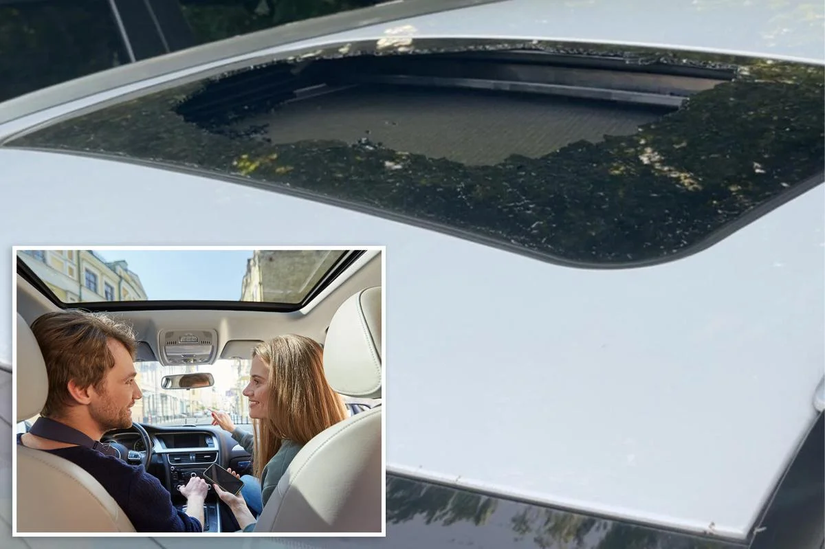 Spontaneous Sunroof Breakages Trigger Safety Review Across Car Models