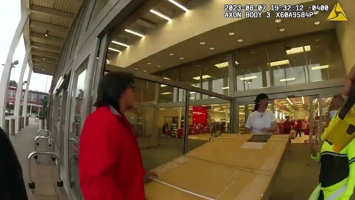 "Target shoplifter's arrest turns into a dramatic fight with police caught on camera"
