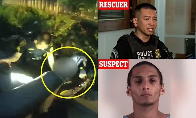 Texas Officer Rescues Abandoned Kidnapped Baby from Stolen Car and Trash