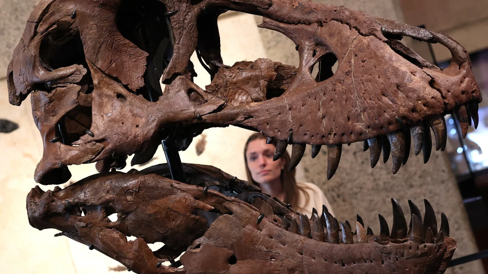 Tech Wealth Sparks Record-Setting Half-Year in Art, Fossils, and Watches