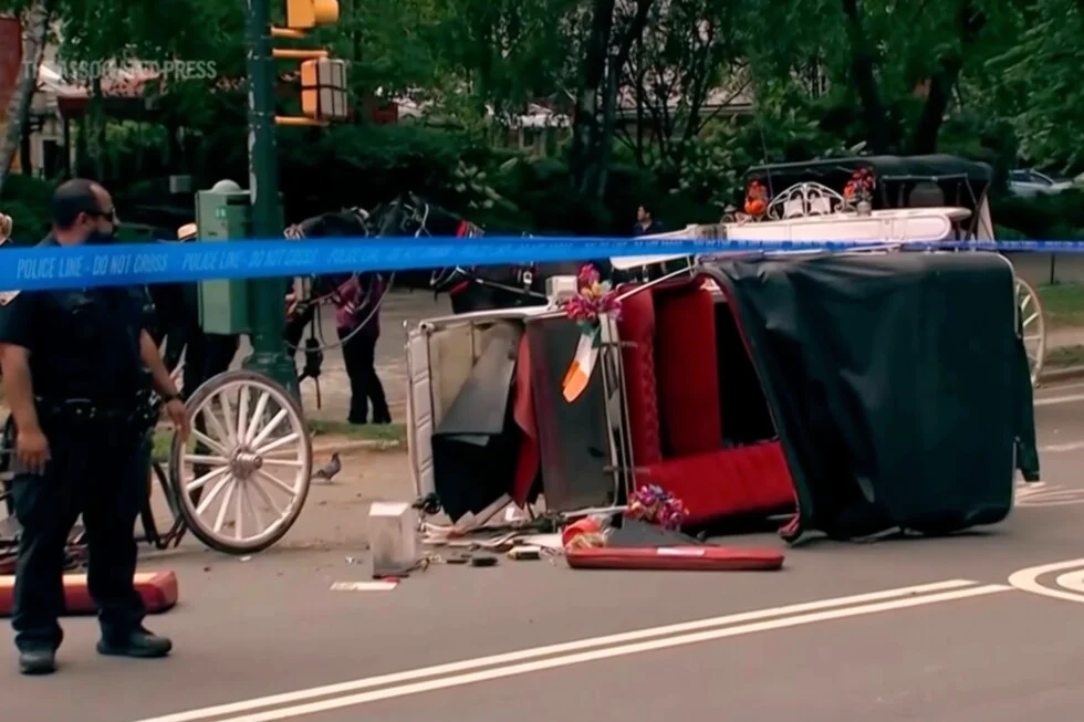 New York moves to end Central Park horse carriages after Indian teen's death