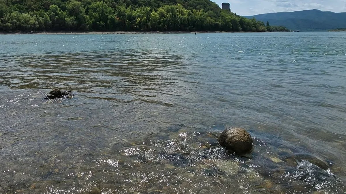 Danube drought uncovers relics from shipwrecks to ancient catapult projectiles