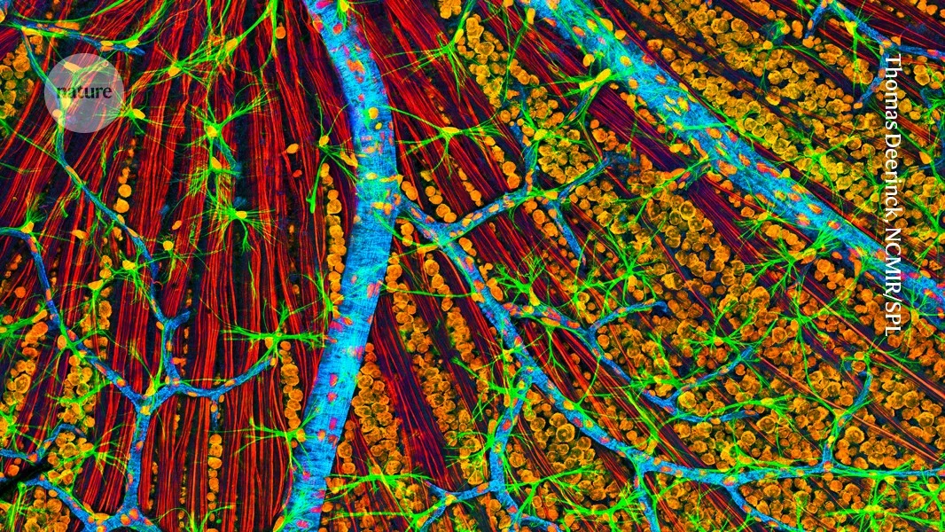 First patient treated in trial turning back cellular age to tackle glaucoma